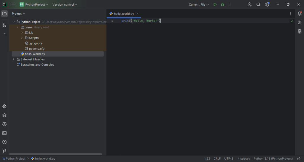 pycharm pro int file code