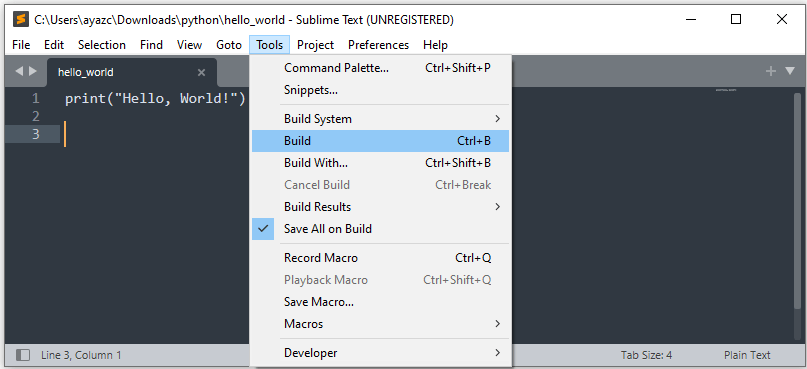 subT platt package ins py code save build run