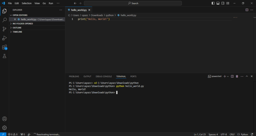 vs code ext file code term output